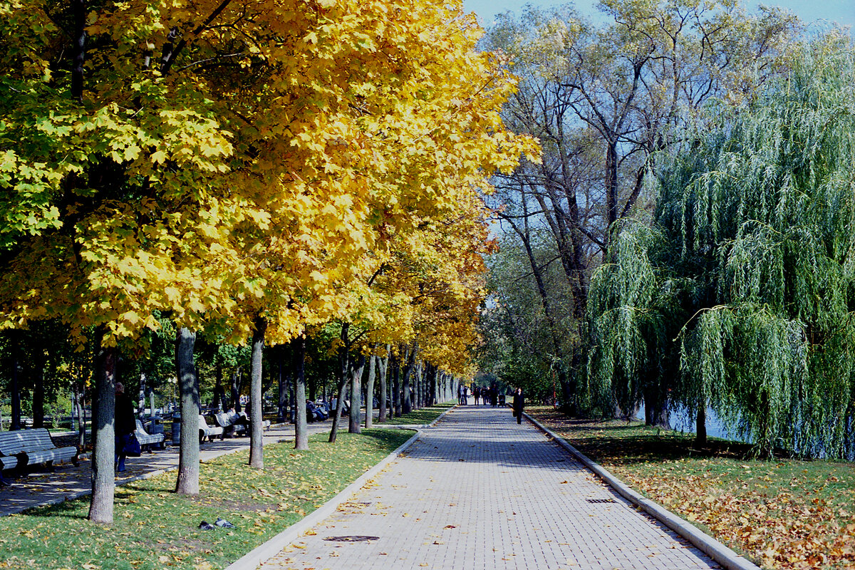 Новодевичьи пруды - Игорь Белоногов