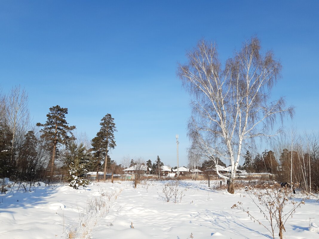 Фото одного дня - Галина Минчук