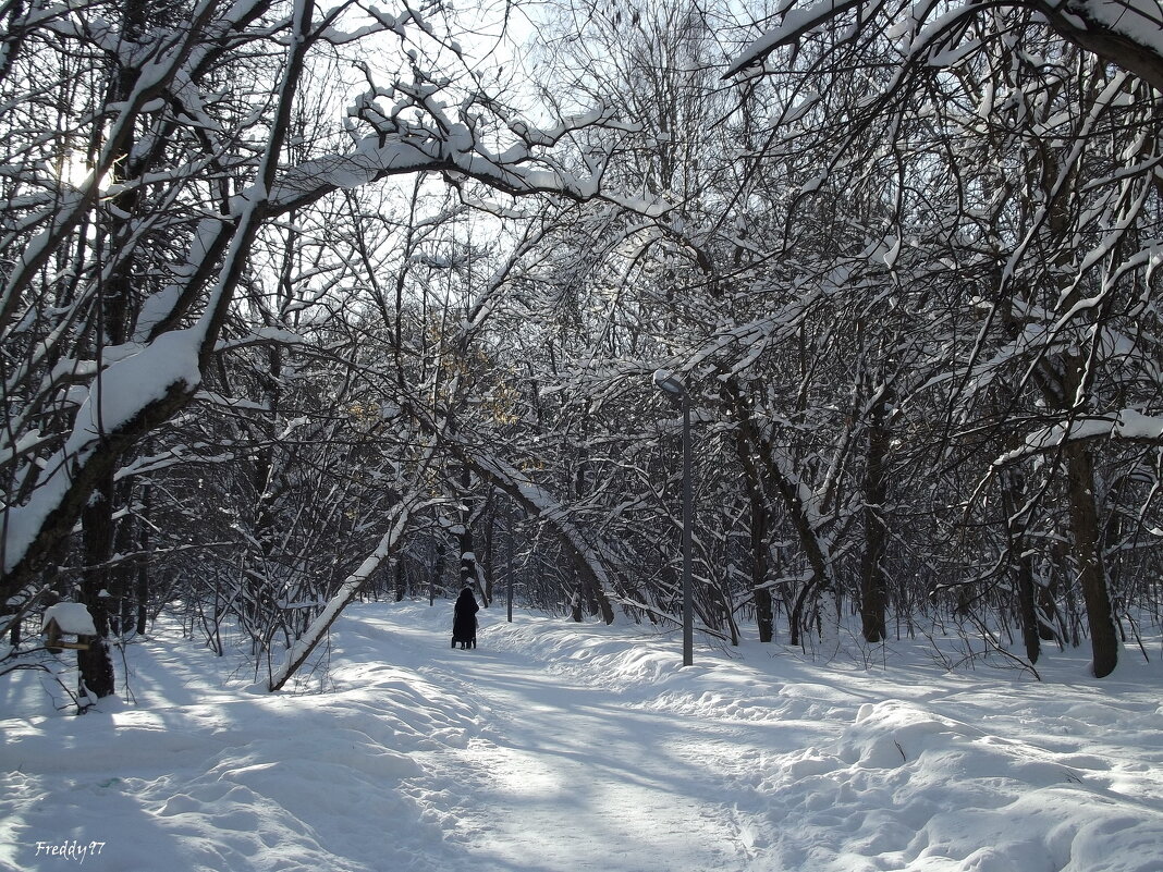 В парке - Freddy 97