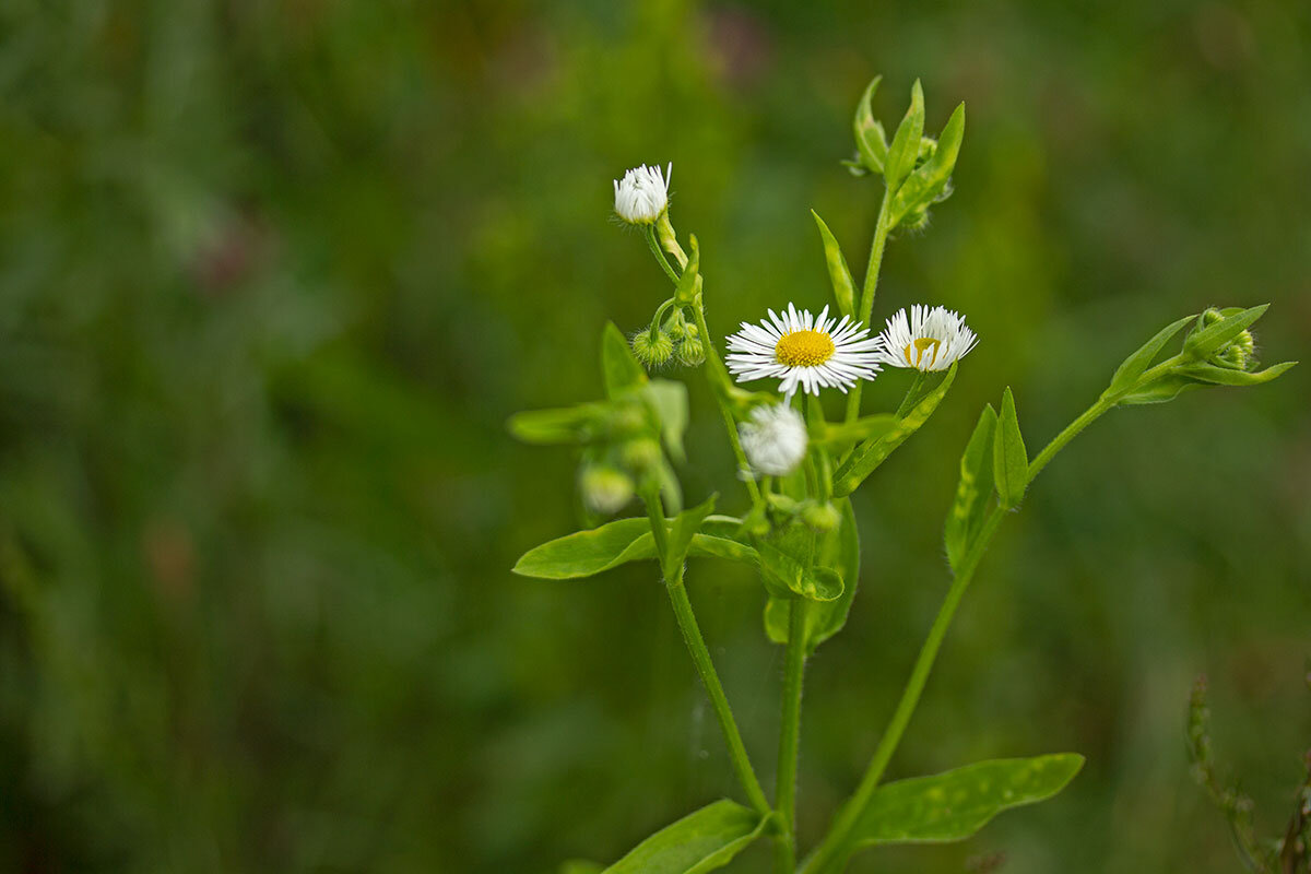 Кусочек лета - Александр Трухин