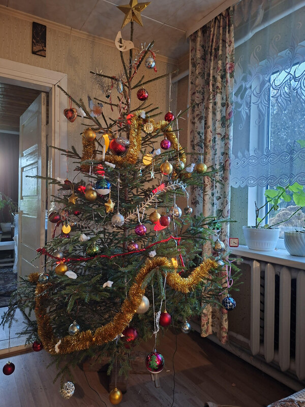 Merry Christmas - silvestras gaiziunas gaiziunas