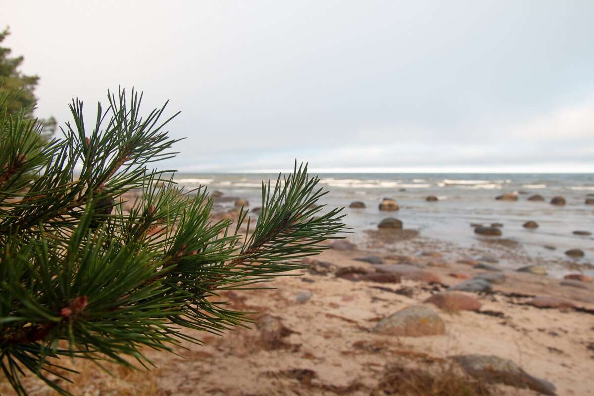 *** - Геннадий Порохов