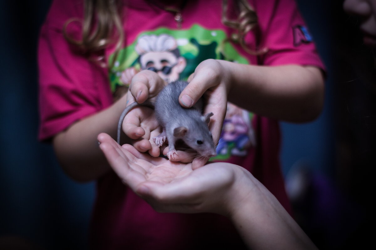 З - Забота - Артём 