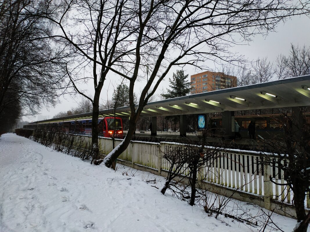 Пока зима, а там посмотрим - Андрей Лукьянов