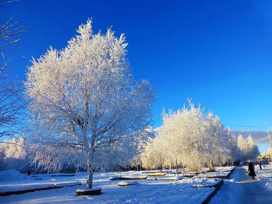 Январь...Морозная невесомость! - Владимир 