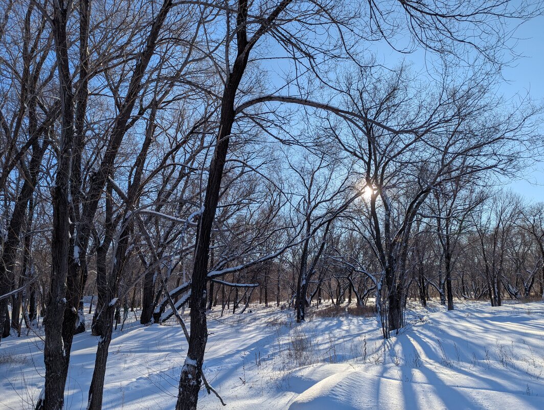 Декабрьское Солнце - Андрей Хлопонин