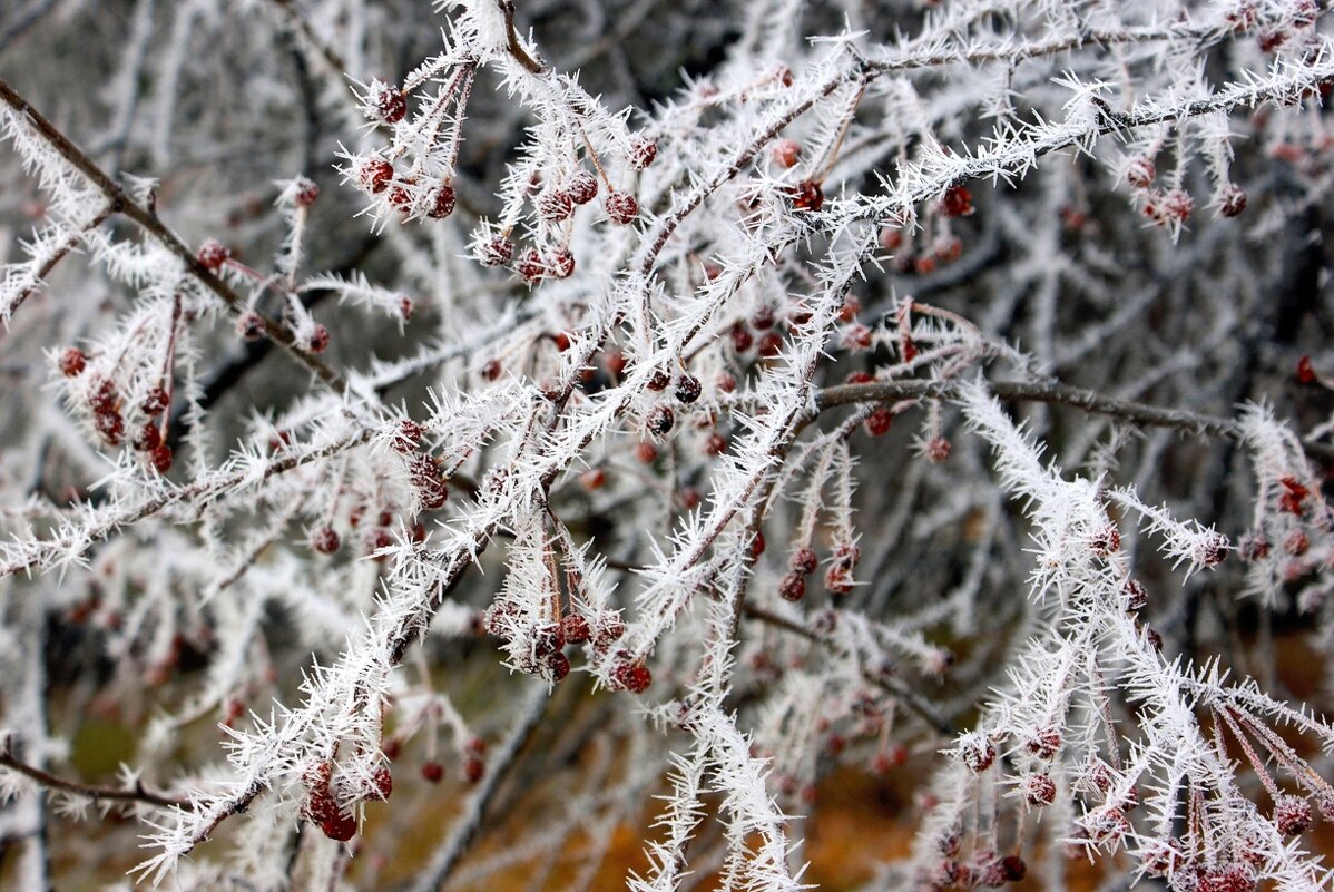 Украсил мороз инеем - Галина Нестратова