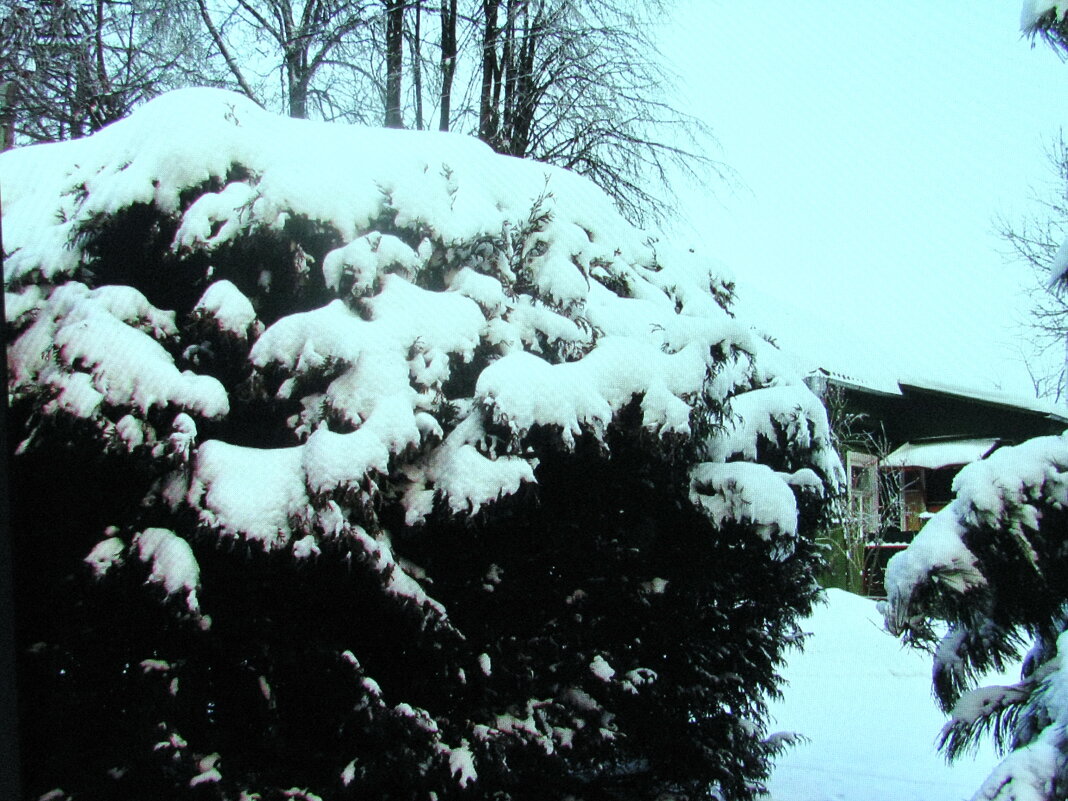 После снегопада - Людмила Смородинская