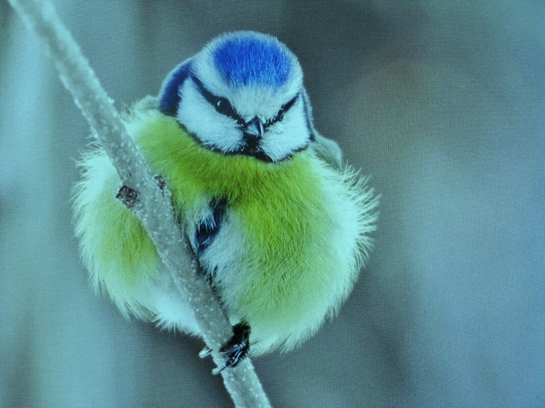 Так холодно - Людмила Смородинская