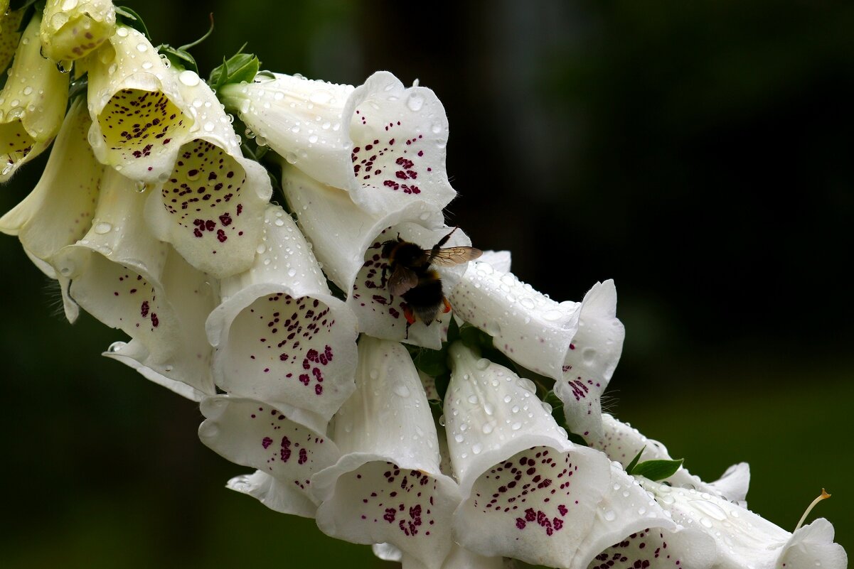 Доброе утро - Юрий. Шмаков