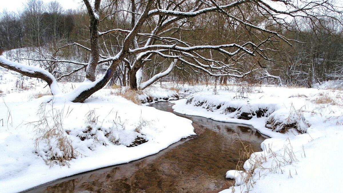 Про нашу зиму. - Милешкин Владимир Алексеевич 