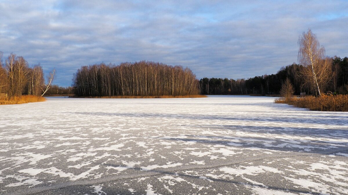 Про нашу зиму. - Милешкин Владимир Алексеевич 