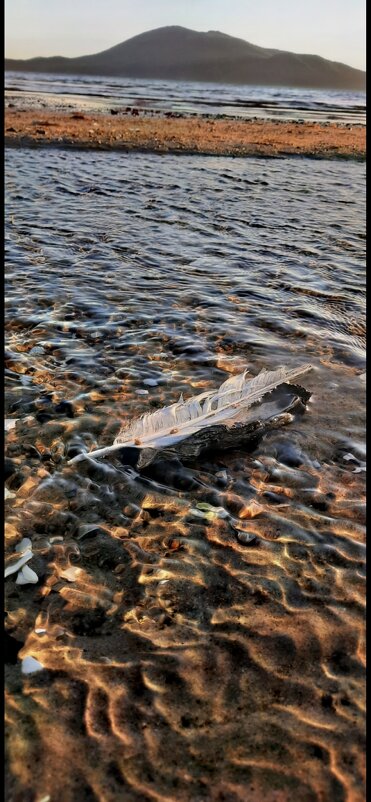 Перо на воде - Марина 