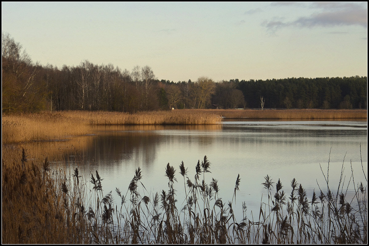 Такая зима... - Aleksandr Gal
