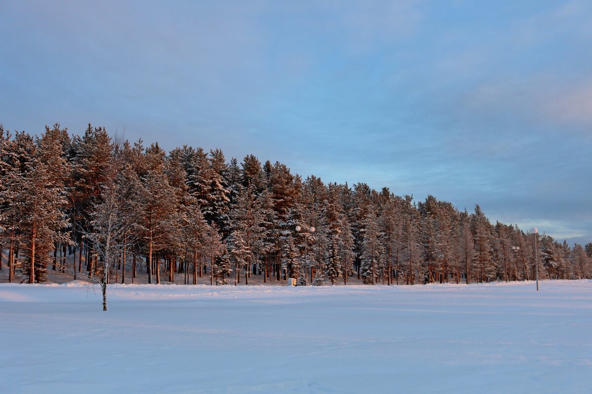 Зимние деньки - Ольга 