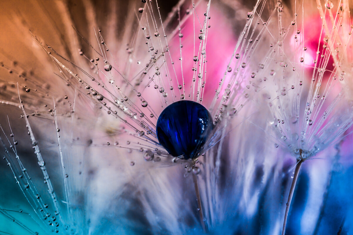 Капелька - Игорь Шевченко