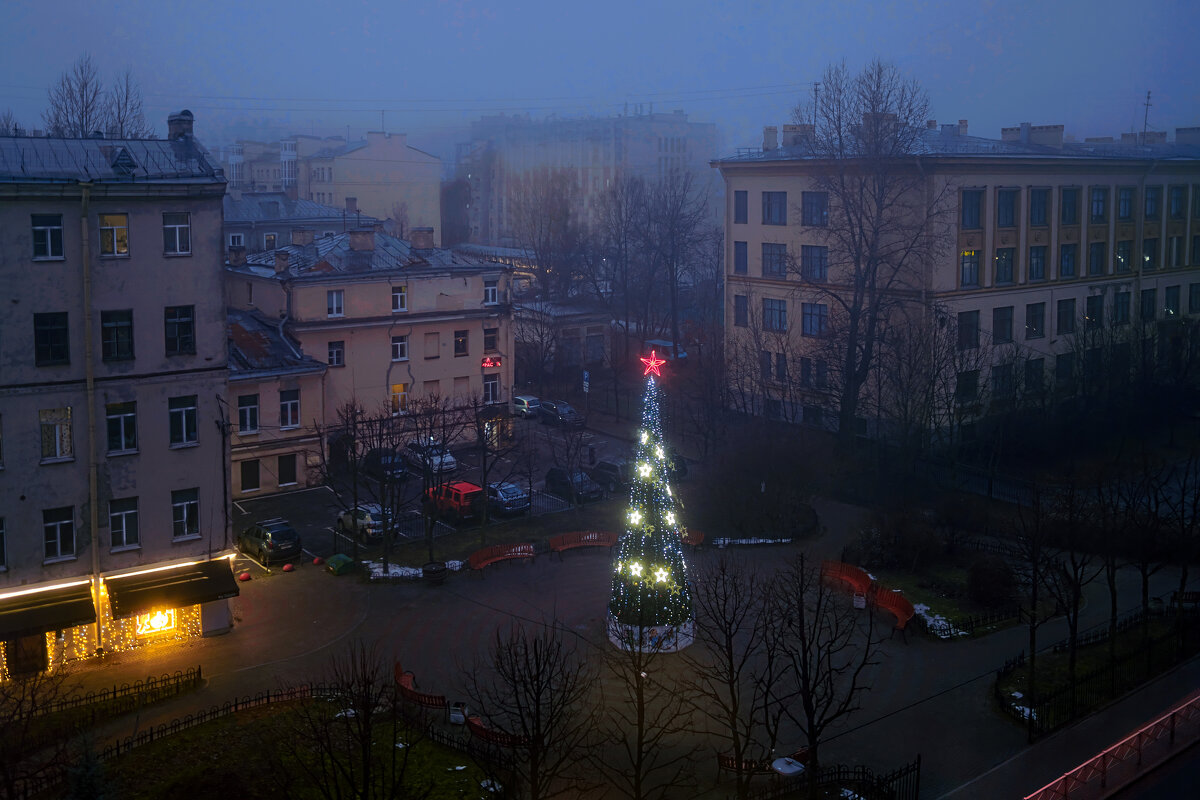 Елка в тумане - ВЛАДИМИР 