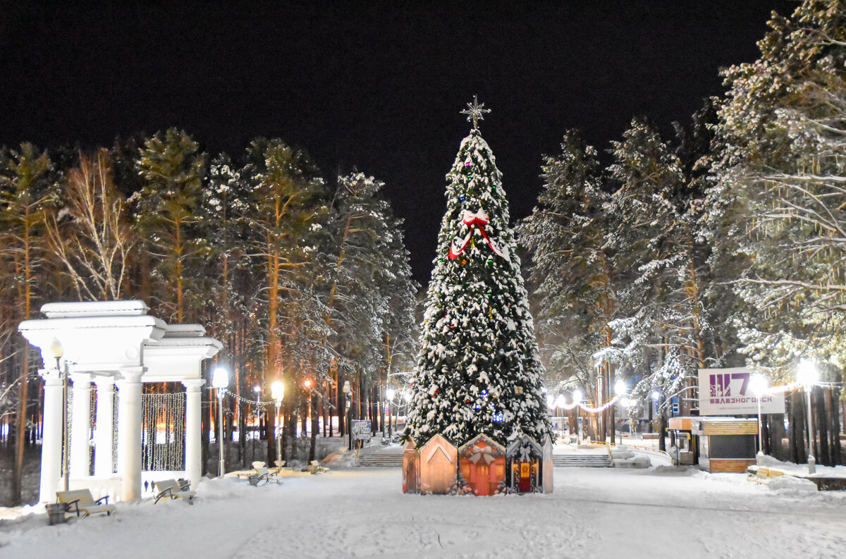 Предновогодняя - Владимир Звягин