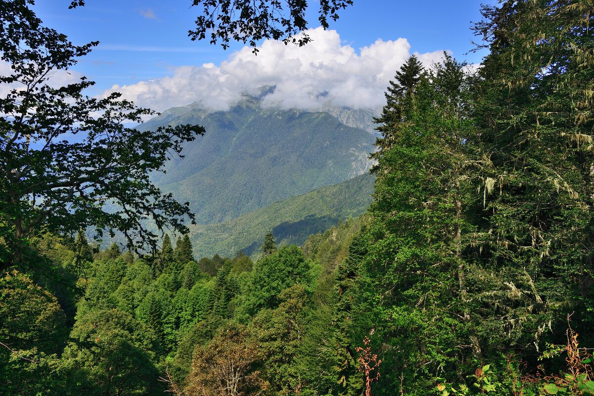 *** - Александр Хаецкий