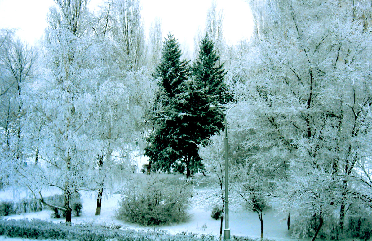 *** - Андрей Л. В.