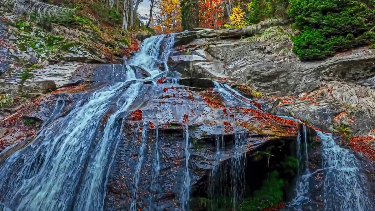 Карпаты - Aleksey Afonin