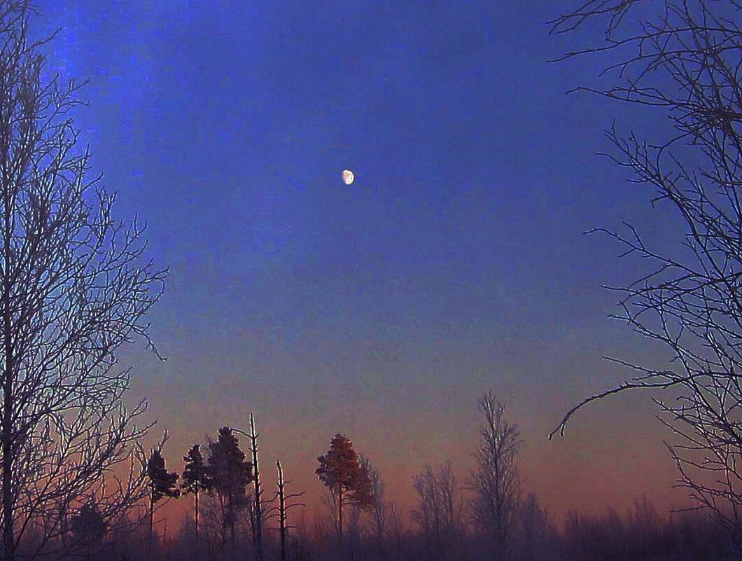 Январь...Морозный закат с луной! - Владимир 