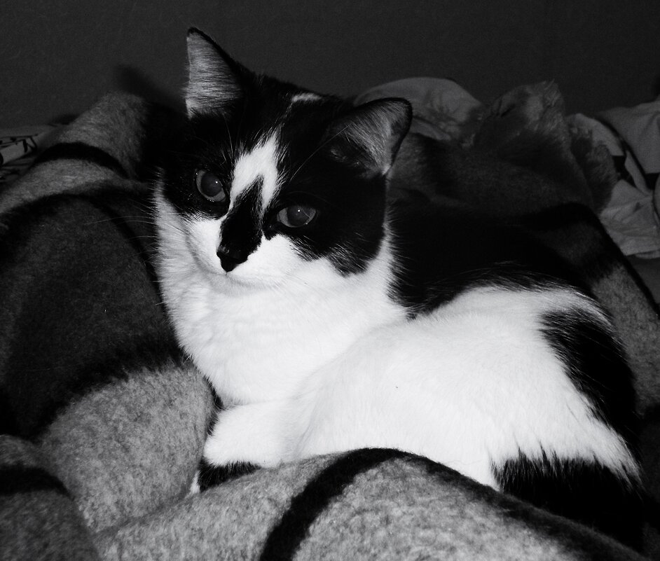 Тепло и уютно. - Василий Палий