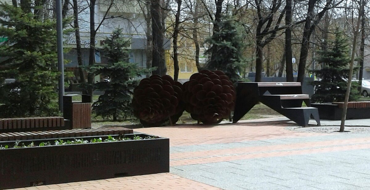 Шишки. - Василий Палий