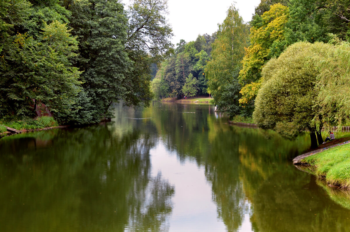 Пруд - Валерий Пославский Пруд - Валерий Пославский