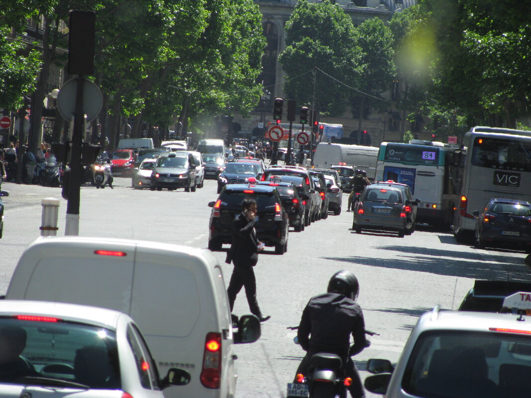 Париж с автобуса. - Владимир Драгунский