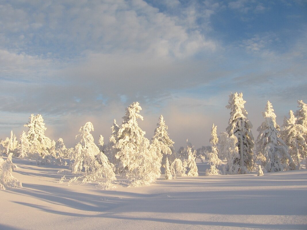 Природа Шерегеша - Галина Нестратова Природа Шерегеша - Галина Нестратова