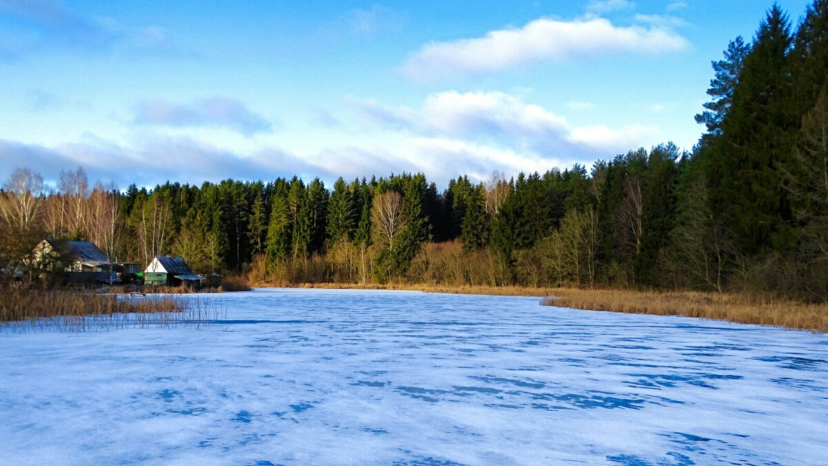 Картинка зимы. - Милешкин Владимир Алексеевич 