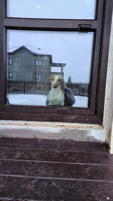 Не взяли на прогулку! - Ольга 