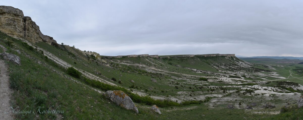 Природа Крыма - Amazing Cosmea