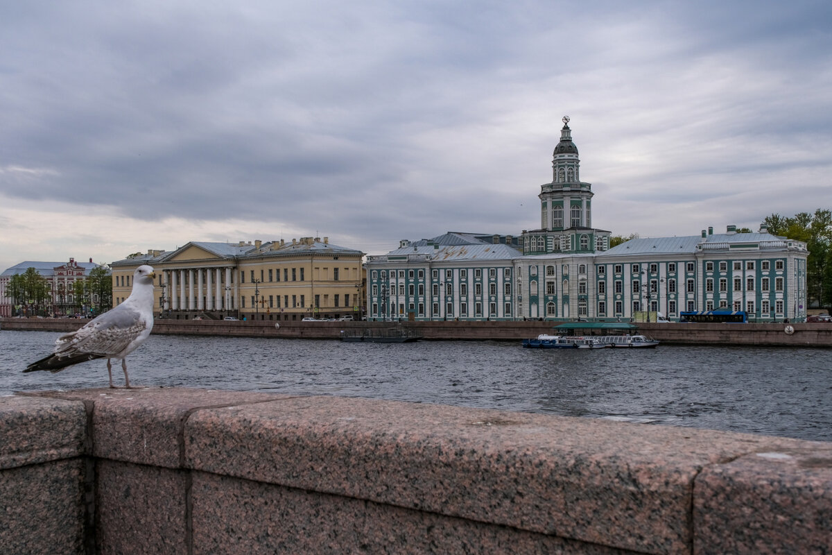 Кунсткамере через реку Б. Невы - Георгий А
