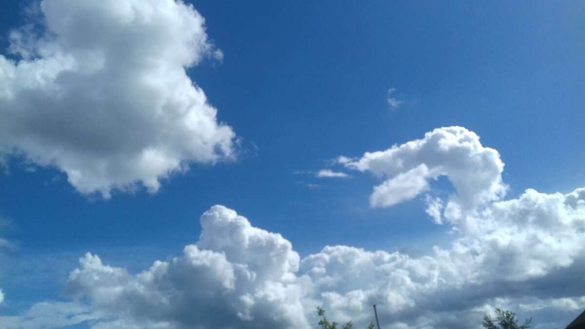 погоня за зайцем - Владимир 