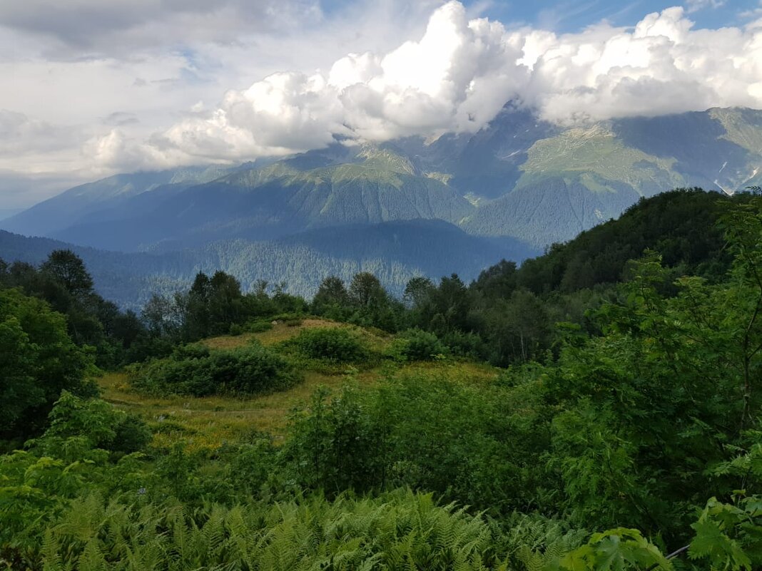 Красная поляна Сочи - Tata Wolf