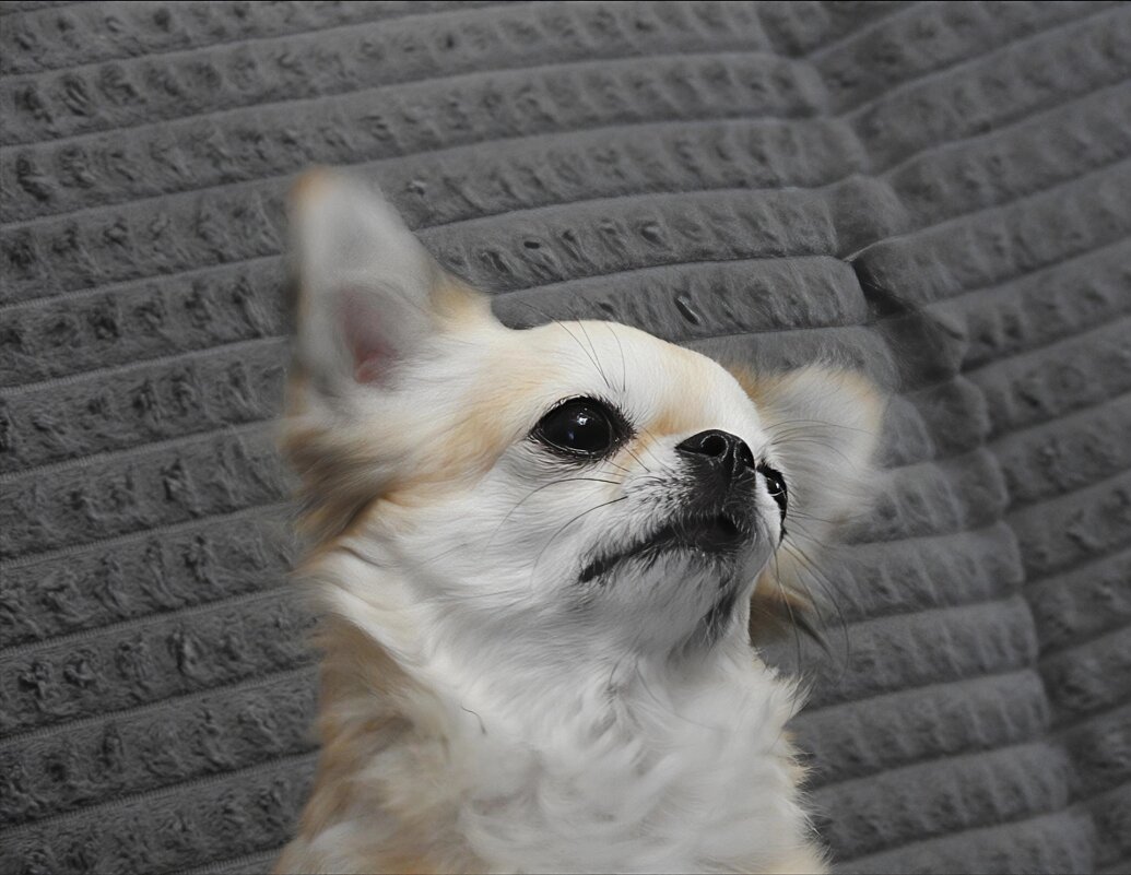 *** - Евгений Васильев