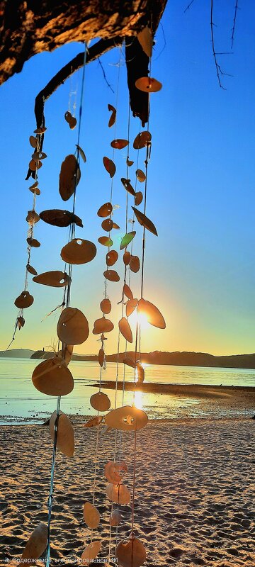 Лето - Марина 