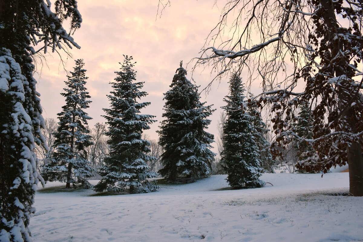 Елочный хоровод. - Юрий Полторыхин.