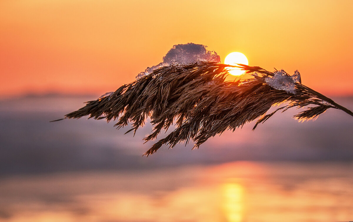 На закате - Ирина 