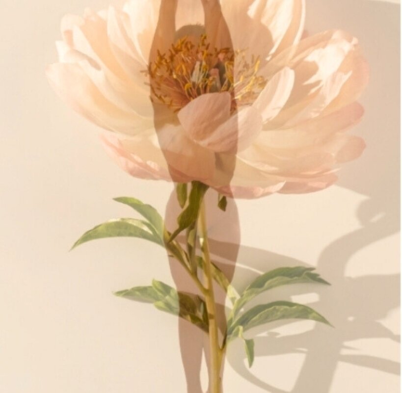 Когда сердце цветёт - liudmila drake Когда сердце цветёт - liudmila drake