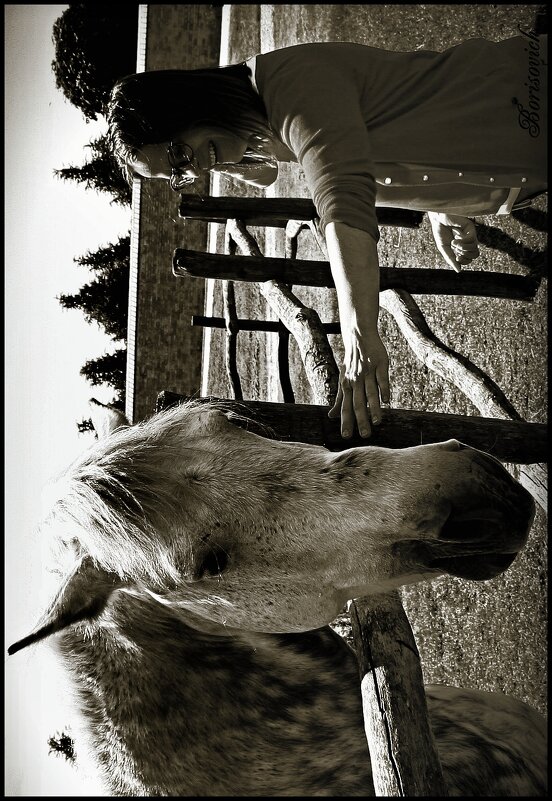 Horse 3 - Denis Lipatov