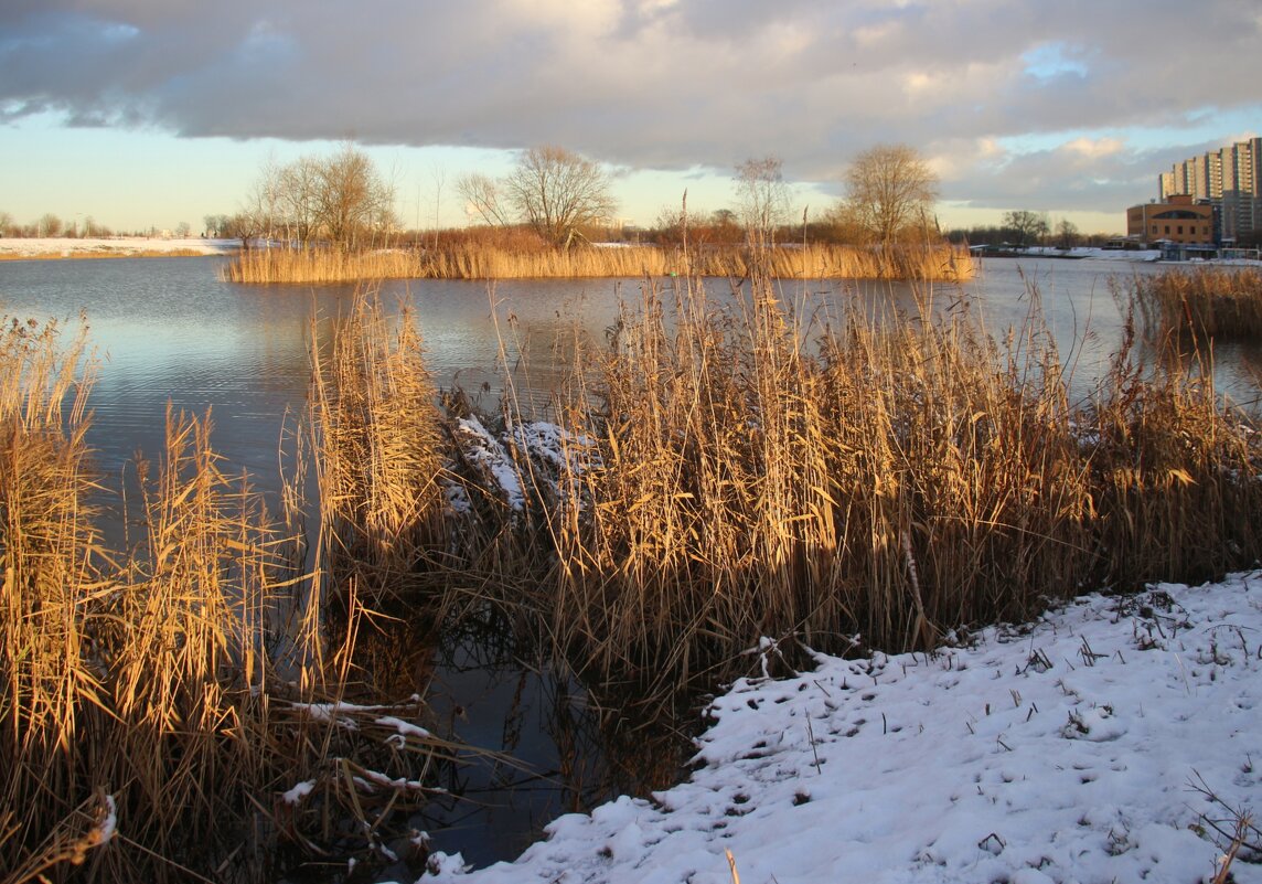 Осень 2025. Ноябрь - Наталья Герасимова