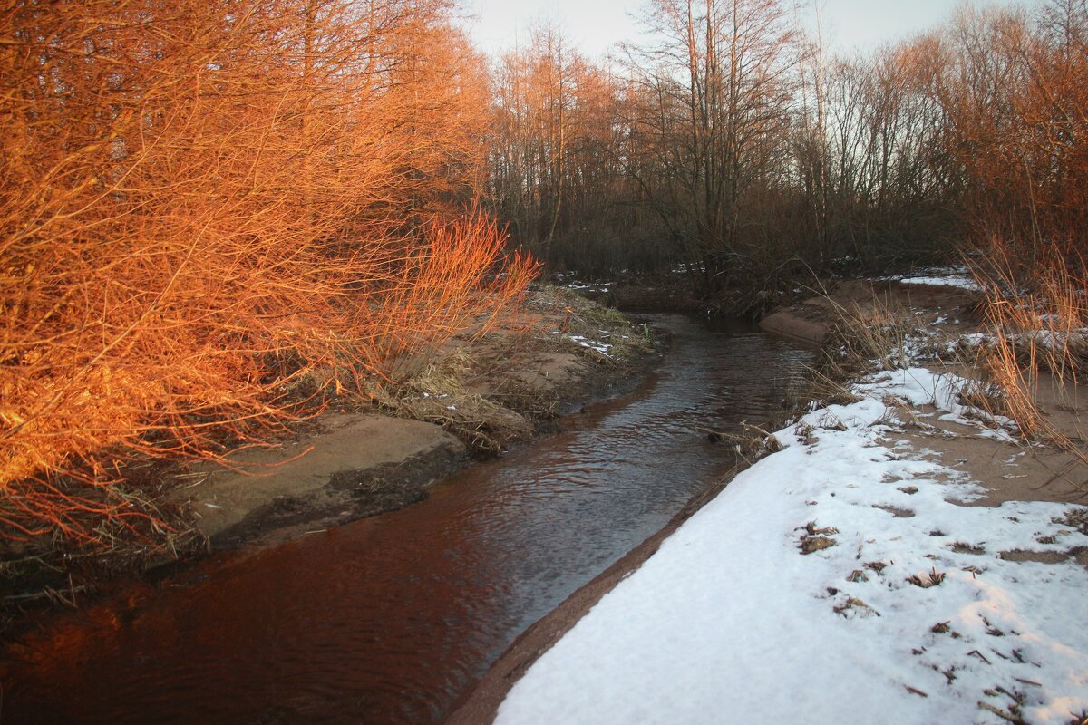 Осень 2025. Ноябрь - Наталья Герасимова