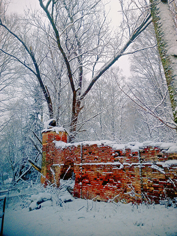 Зимний день - Сергей Кочнев