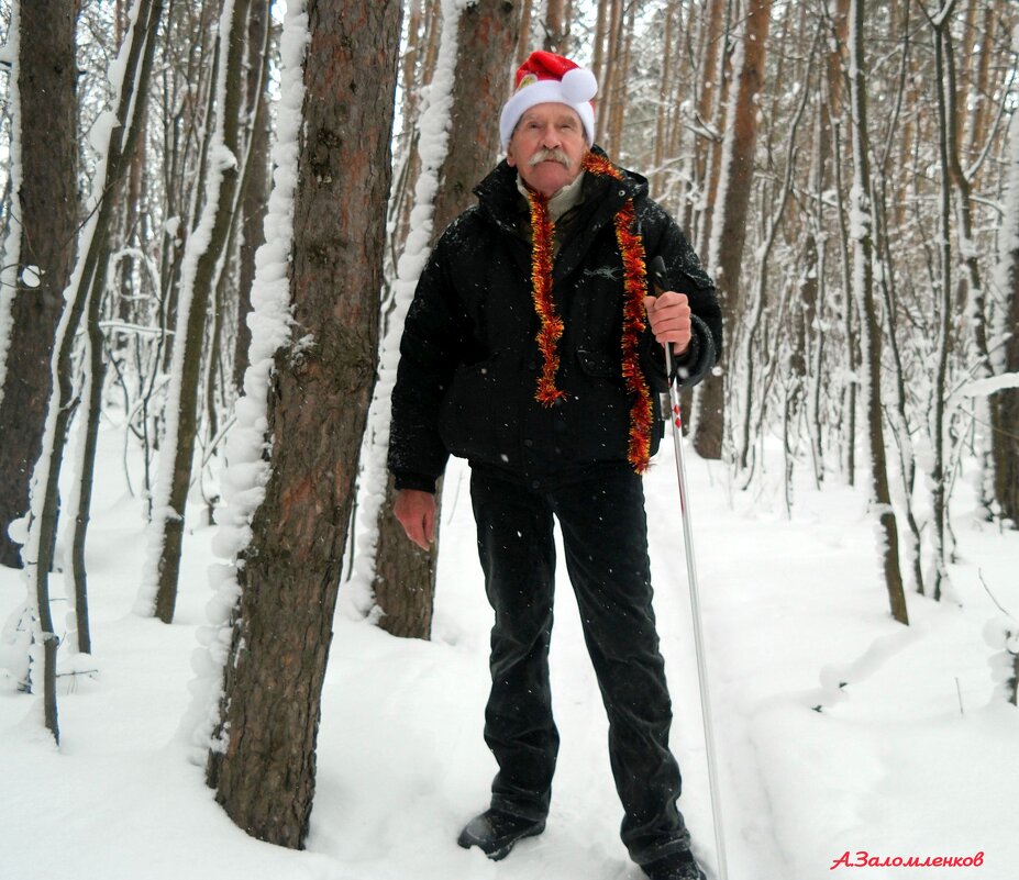 По дороге в Новый год.... - Андрей Заломленков По дороге в Новый год.... - Андрей Заломленков