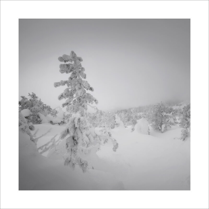 * - Александр Иванов