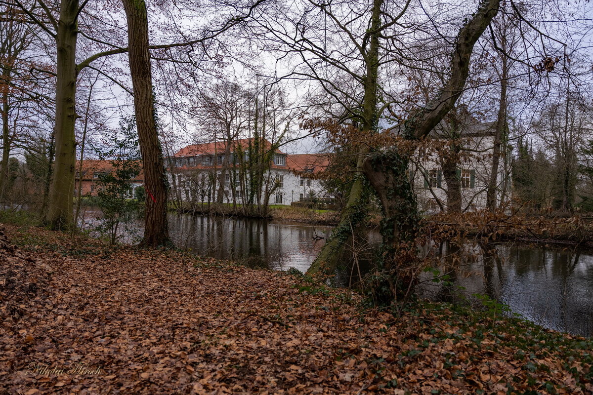 Январь, январь... - Николай Гирш