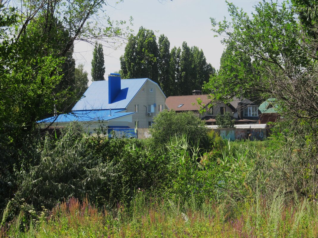 июнь - Елена Шаламова